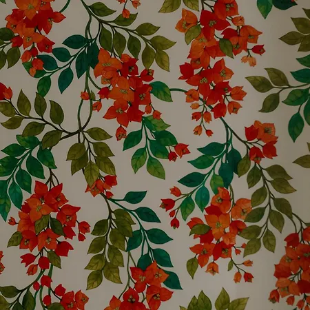 Çiftlik konaklama Braja