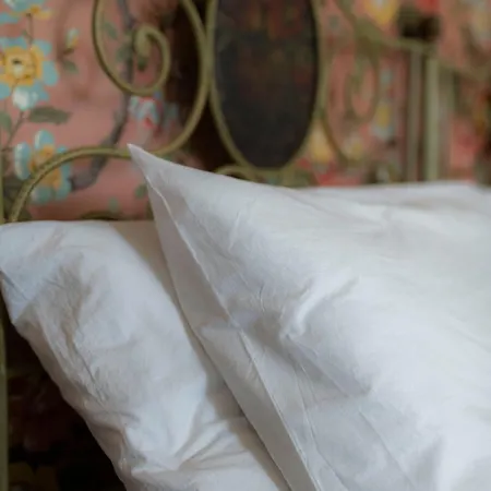 Braja Çiftlik konaklama *